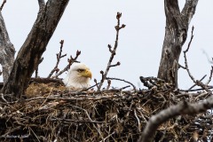 sitting-mama-denoise