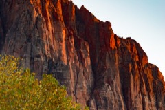 Watchman Tower, Zion National Park,Springdale, UT